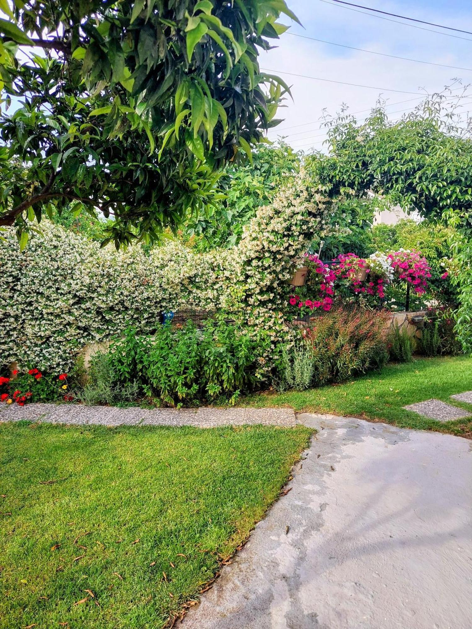 Summer Village House Popi Kanakades Екстер'єр фото