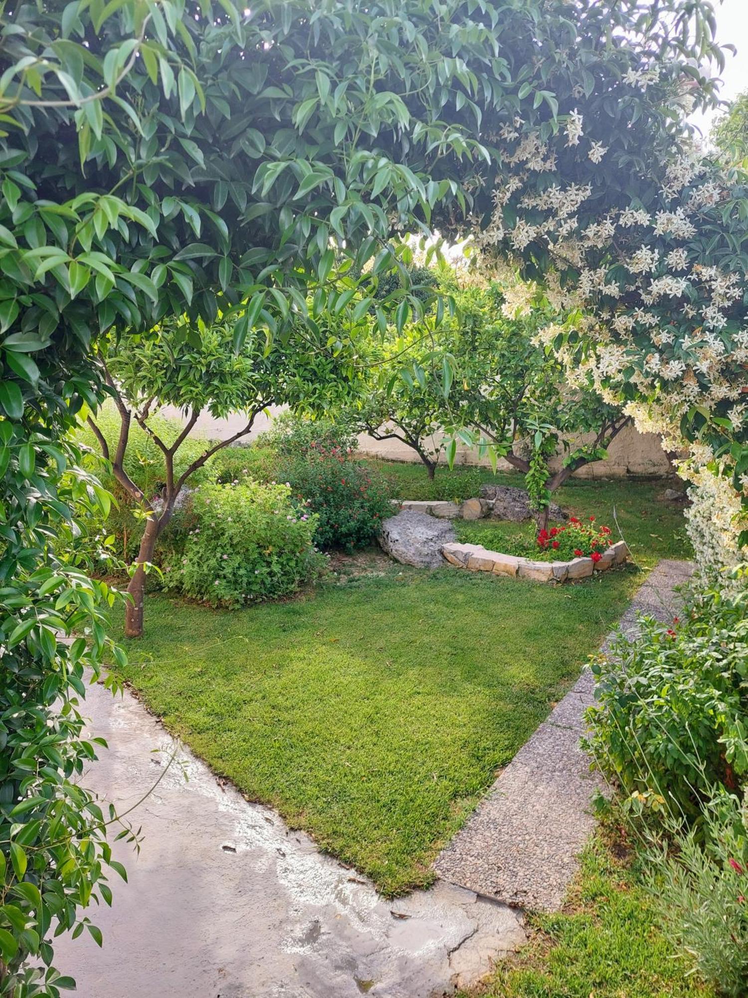 Summer Village House Popi Kanakades Екстер'єр фото